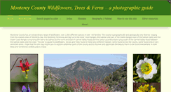Desktop Screenshot of montereywildflowers.com